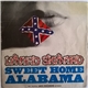 Lynyrd Skynyrd - Sweet Home Alabama